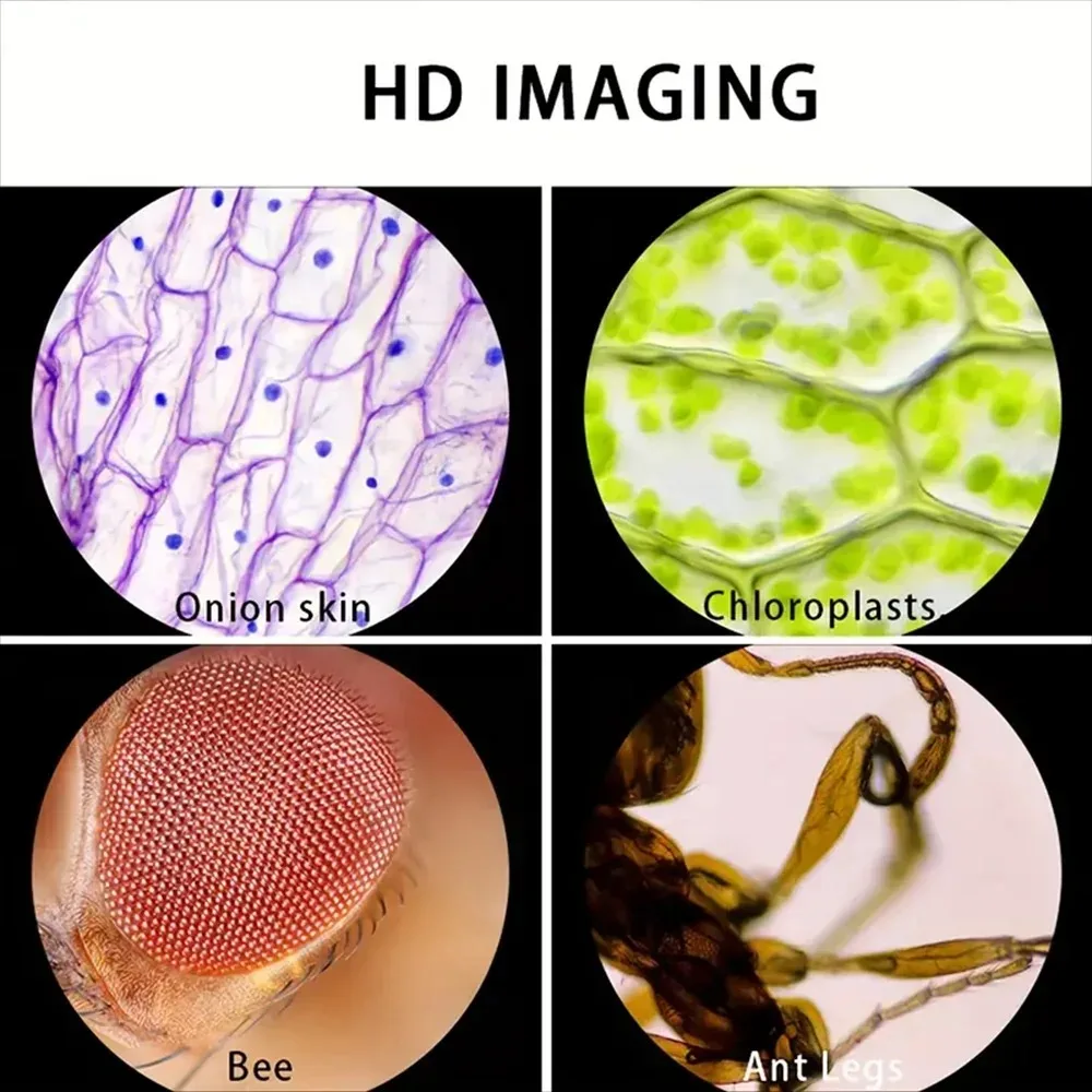 子供用ポケット顕微鏡 |     虫や植物を詳しく見る |  - Outdoor Adventure Microscope のレビューと価格