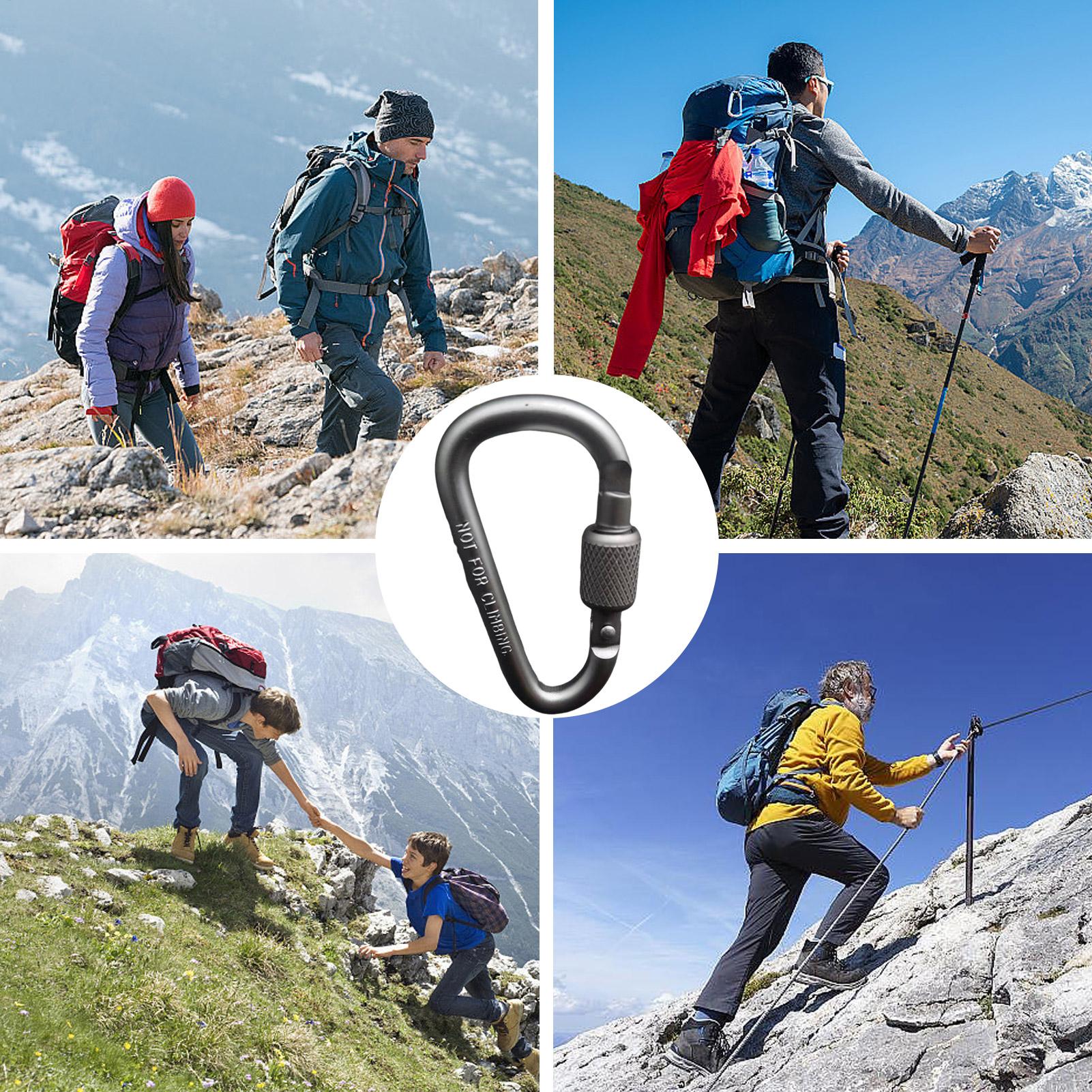 屋外用アルミ製D型ロック式カラビナキーホルダー、バックパック - Carabiner Locking D のレビューと価格